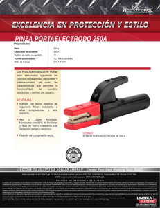 Portaelectrodo 250A Info. del Producto