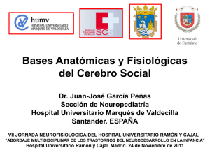 Bases anatómicas y fisiológicas del cerebro social J.J. García Peñas