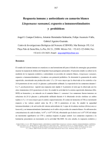 Respuesta inmune y antioxidante en camarón blanco, Litopenaeus