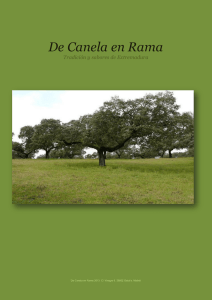 De Canela en Rama