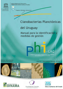 Cianobacterias planctónicas de Uruguay - unesdoc