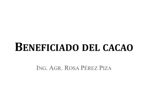 calidad y determinacion de parametros fisicos del cacao