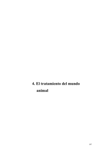 animales - Fundación Alonso Quijano