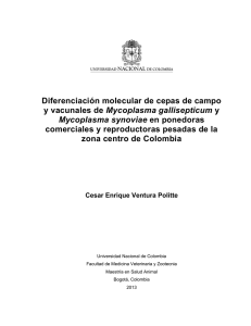 Diferenciación molecular de cepas de campo y vacunales de