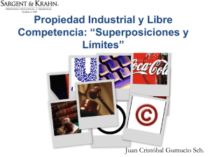 Propiedad Industrial y Libre Competencia: “Superposiciones