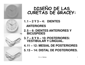 DISEÑO DE LAS CURETAS DE GRACEY: