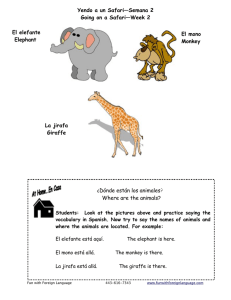 Activity Sheet Where are the Animals Spanish 3-5years
