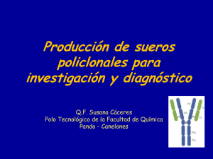 Producción de sueros policlonales para investigación y diagnóstico