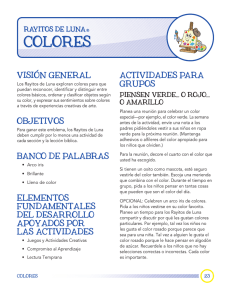 colores - Central Youth Network