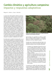 Cambio climático y agricultura campesina: impactos y respuestas