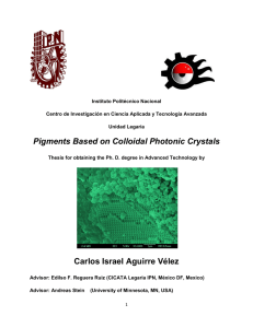 Pigments Based on Colloidal Photonic Crystals Carlos Israel Aguirre