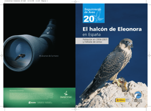 El halcón de Eleonora
