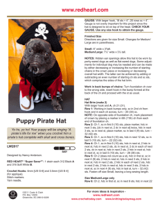 Puppy Pirate Hat