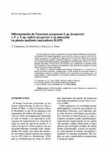Diferenciación de Fusarium oxysporum f. sp. lycopersici y F. o. f. sp