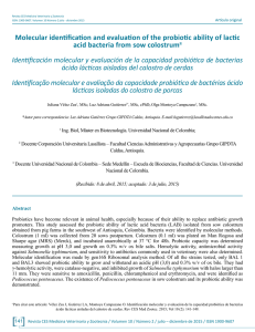 Molecular identification and evaluation of the probiotic ability of