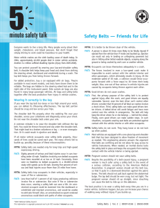 Safety Belts — Friends for Life