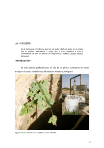 la higuera - Junta de Andalucía