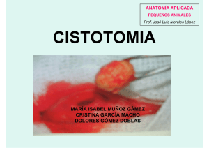 Cistotomía.