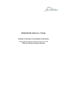 NITRATOS DE CHILE S.A. Y FILIAL Estados Financieros