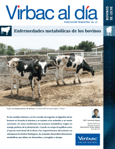 Enfermedades metabólicas de los bovinos