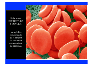 Relacion de ESTRUCTURA Y FUNCION Hemoglobina como