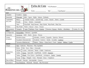 FICHA DE CATA v 4.1 - Club Amantes del Vino