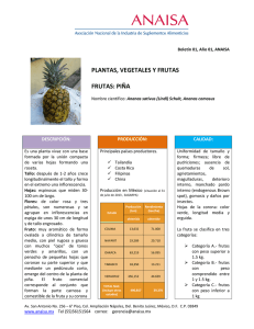 plantas, vegetales y frutas frutas: piña