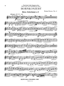 Strauss Horn Concerto No.1