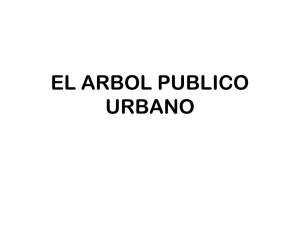 EL ARBOL PUBLICO URBANO