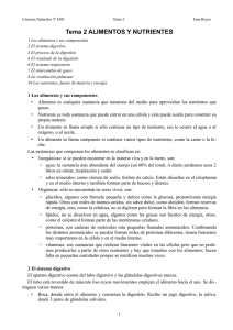 Tema 2 ALIMENTOS Y NUTRIENTES