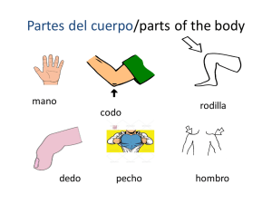 Partes del cuerpo/parts of the body
