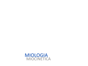 Miocinética y Fascias