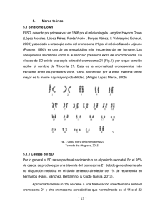 Capítulo 5. Marco teórico (archivo pdf, 705 kb)