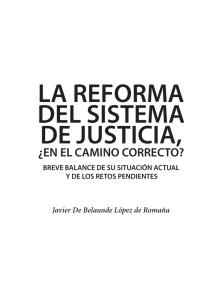 la reforma del sistema de justicia