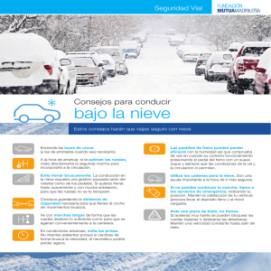 Consejos para conducir bajo la nieve