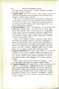 1000 Agaricineaj, Melanospora?, Agaricus. tina Amer. merid. (0