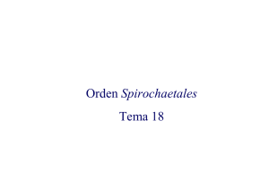 Orden Spirochaetales Tema 18