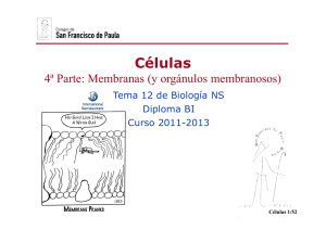 Células - Ciencias con D. Germán