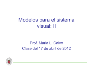 Modelos para el sistema visual: II
