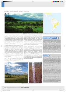 El Cerrado Biodiversidad del suelo en las sabanas de Colombia 6