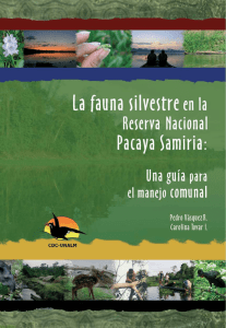 La fauna silvestre en la Reserva Nacional Pacaya Samiria: una guía