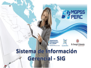 Sistema de Información Gerencial - pdf Archivo