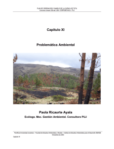 Diagnóstico Problemática Ambiental en formato pdf