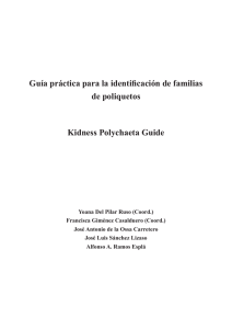 Guía práctica para la identificación de familias de poliquetos