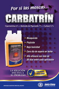Carbatrín - Santa Elena