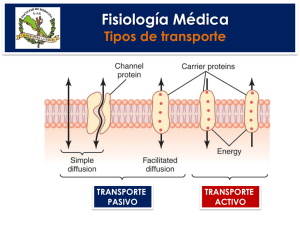 Clase 2: Transporte activo y primario / Endocitosis / Exocitosis.