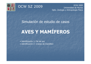 PresAVES MAMIF - OCW - Universidad de Murcia