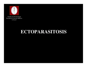 ectoparasitosis - Facultad de Ciencias Médicas