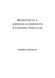 resistencia a aminoglucósidos en enterobacteriaceae