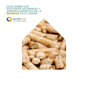 Guia biomasa en el hogar